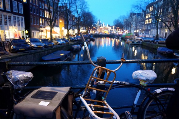 In Amsterdams Defense  by Jesse Springer
